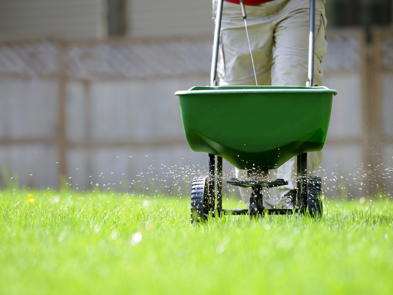 This is the most important aspect of maintaining the quality of your lawn. Fertilizing your lawn will help keep the lawn green, stimulate root growth and provide tolerance during times of draught. We will tailor a fertilizing plan that best fits the needs of your lawn.